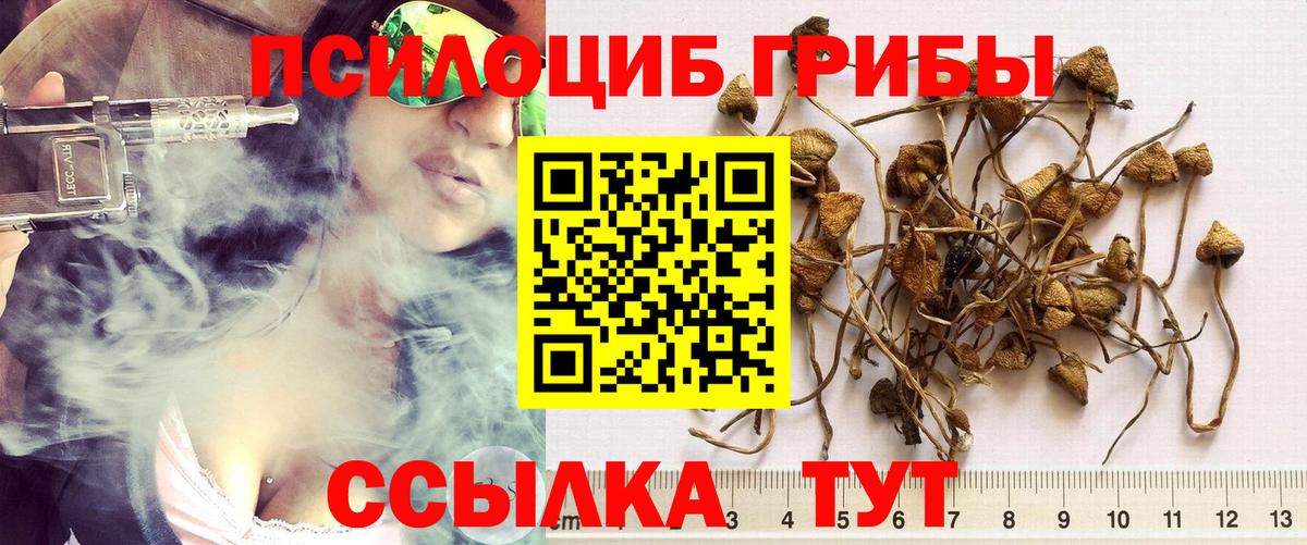 Галлюциногенные грибы Cubensis Богородск