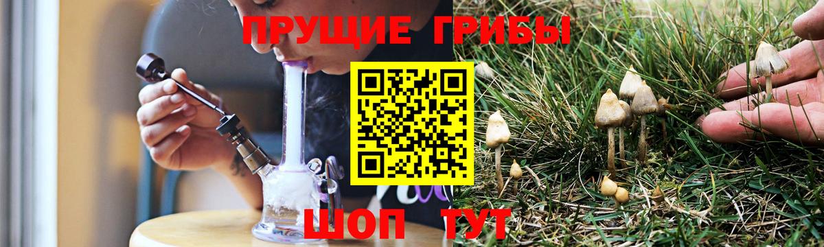 Псилоцибиновые грибы Cubensis  цены   Богородск  Вход с VPN 